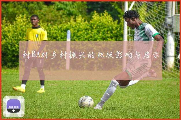 村BA对乡村振兴的积极影响与启示