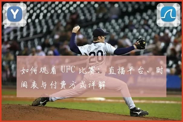 如何观看 UFC 比赛:直播平台、时间表与付费方式详解