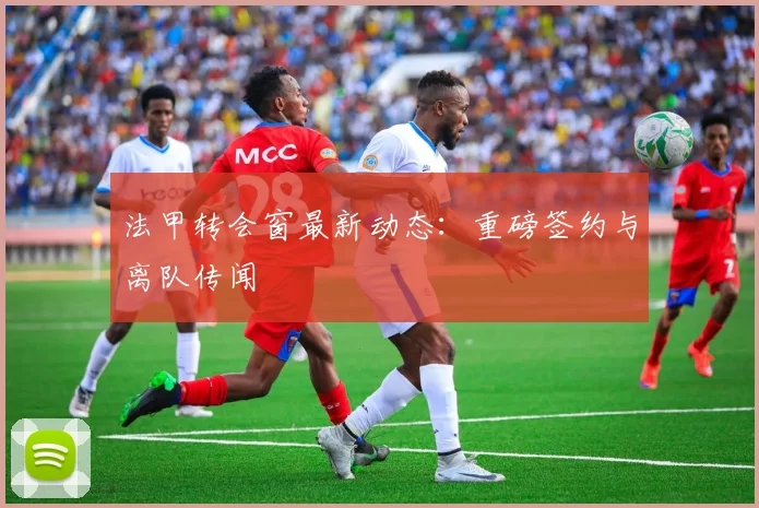 法甲转会窗最新动态：重磅签约与离队传闻