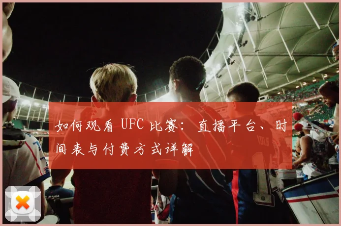 如何观看 UFC 比赛：直播平台、时间表与付费方式详解