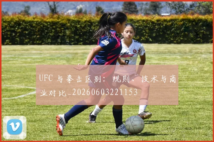 UFC 与拳击区别:规则、技术与商业对比_20260603221153