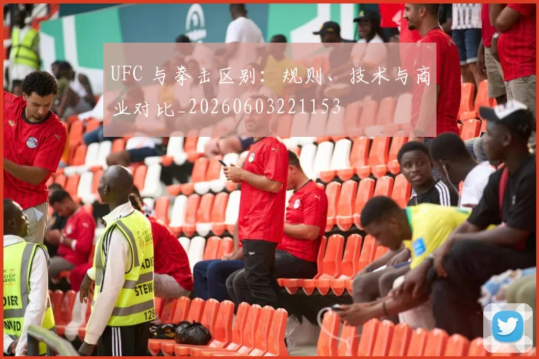 UFC 与拳击区别：规则、技术与商业对比_20260603221153